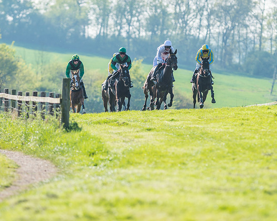 Fernie at Dingley 6th May 2018