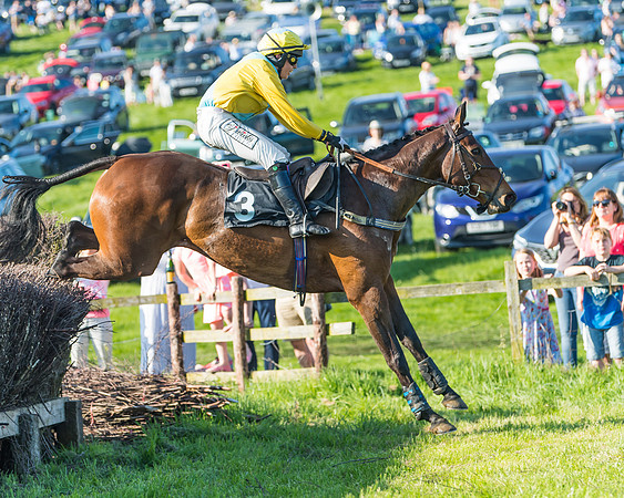 Fernie at Dingley 6th May 2018
