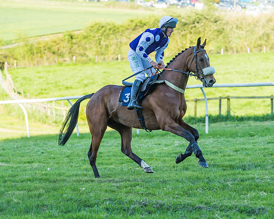 Fernie at Dingley 6th May 2018