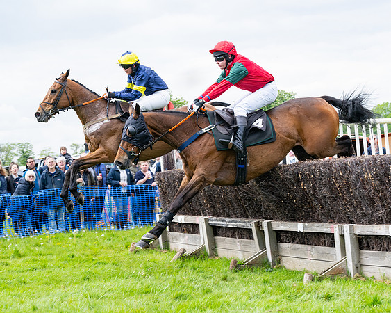 Race 2 - Veteran Horse (46 of 80)
