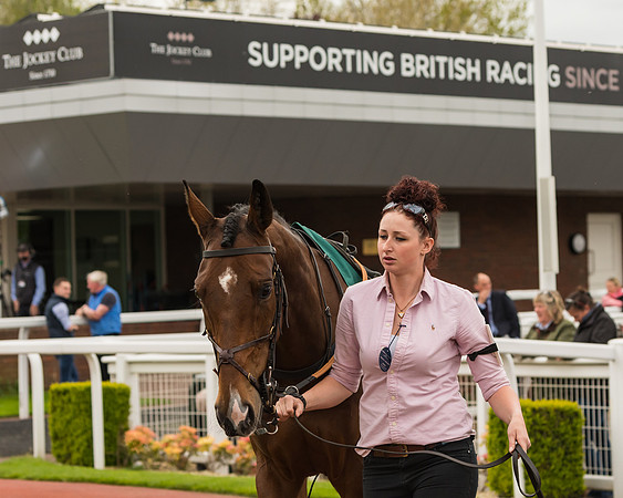 Cheltenham Hunter Chase Evening