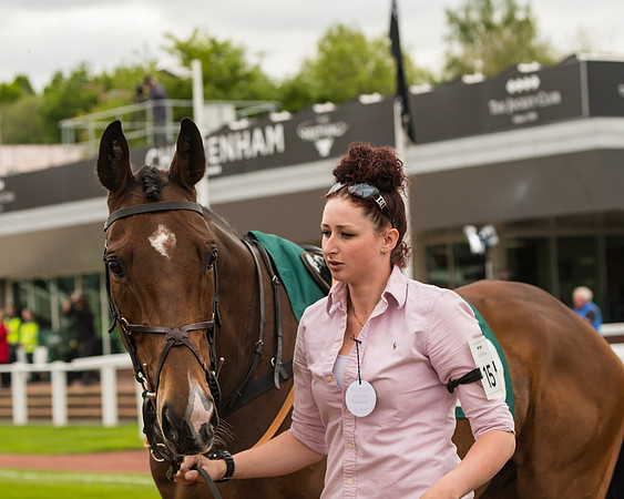 Cheltenham Hunter Chase Evening