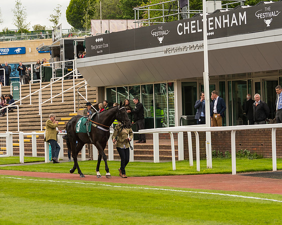 Cheltenham Hunter Chase Evening