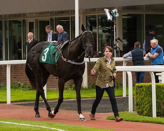 Cheltenham Hunter Chase Evening