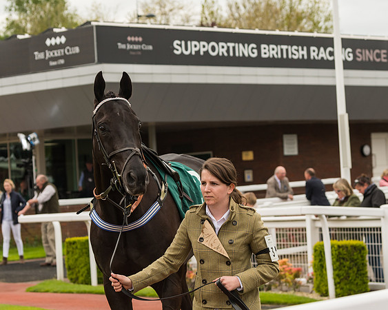 Cheltenham Hunter Chase Evening