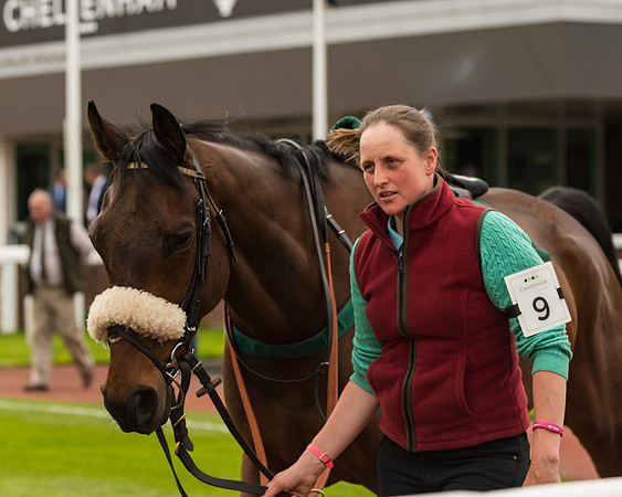 Cheltenham Hunter Chase Evening