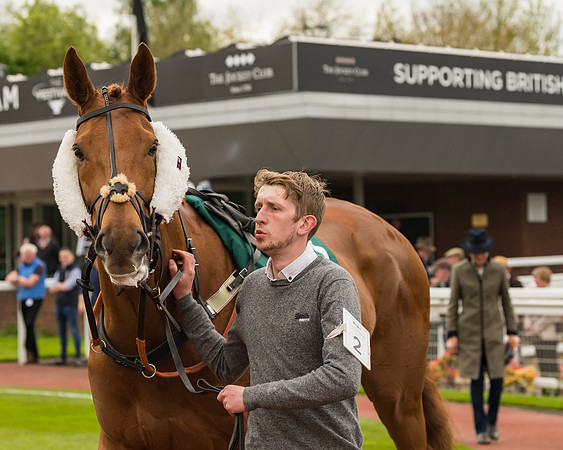 Cheltenham Hunter Chase Evening