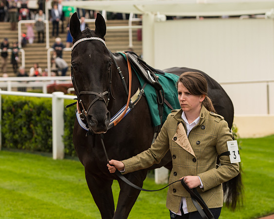 Cheltenham Hunter Chase Evening