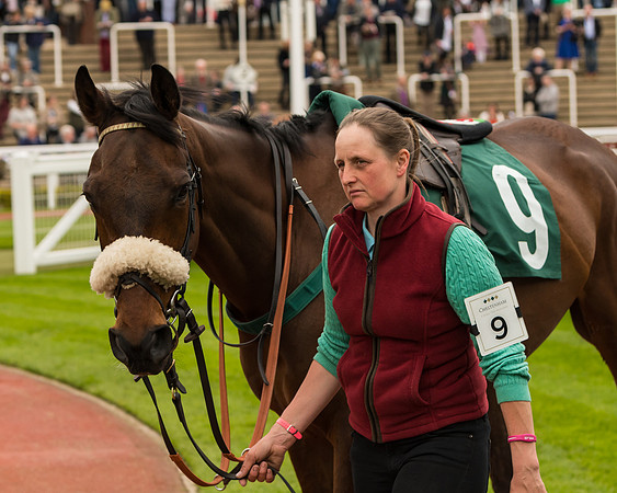 Cheltenham Hunter Chase Evening