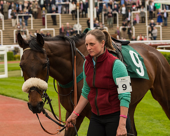 Cheltenham Hunter Chase Evening