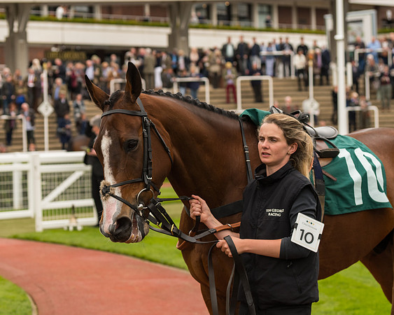 Cheltenham Hunter Chase Evening