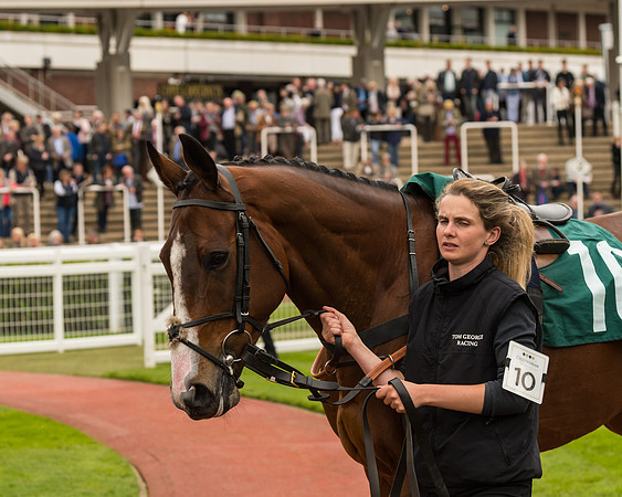 Cheltenham Hunter Chase Evening