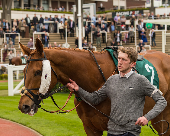 Cheltenham Hunter Chase Evening