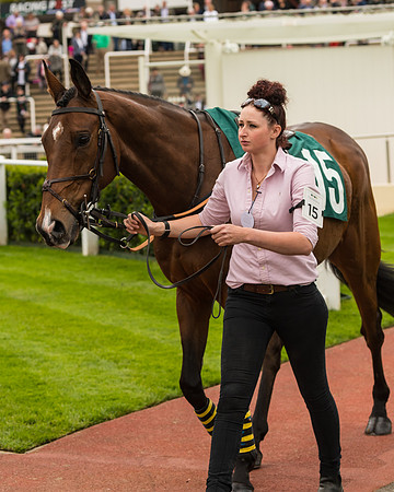 Cheltenham Hunter Chase Evening