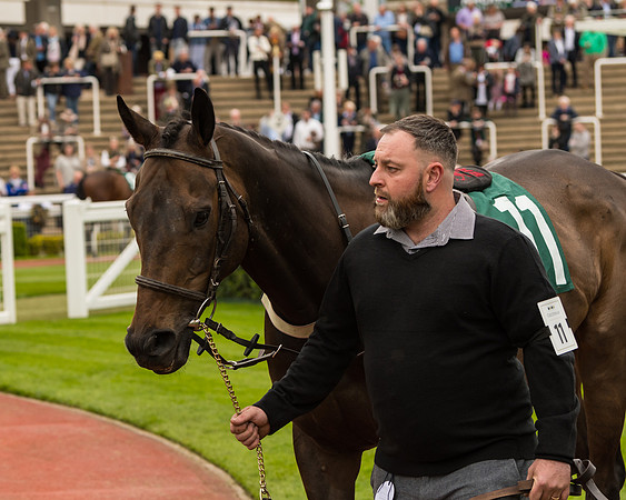 Cheltenham Hunter Chase Evening