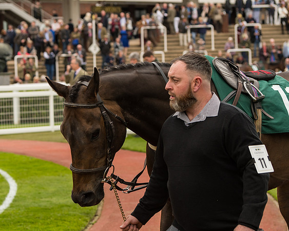 Cheltenham Hunter Chase Evening