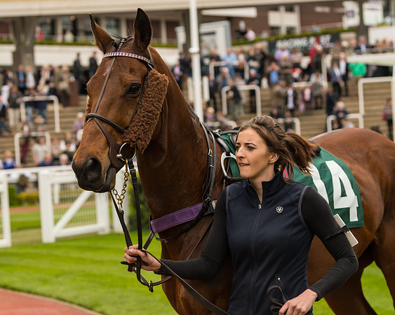 Cheltenham Hunter Chase Evening