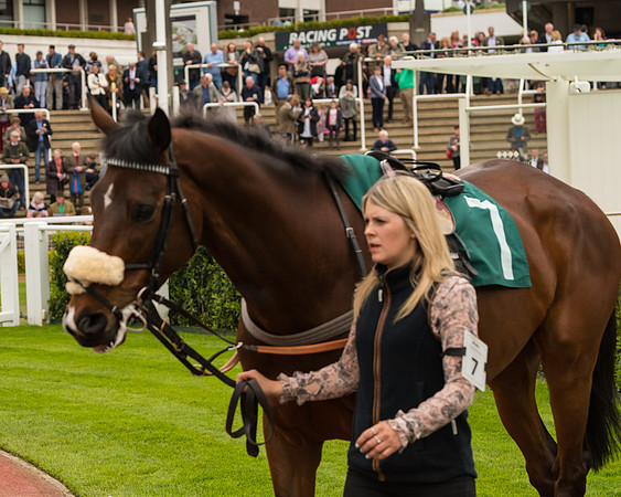Cheltenham Hunter Chase Evening