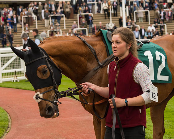 Cheltenham Hunter Chase Evening