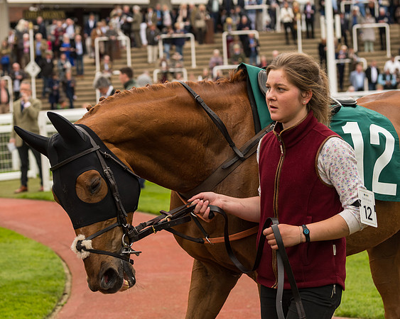 Cheltenham Hunter Chase Evening