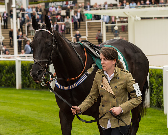 Cheltenham Hunter Chase Evening