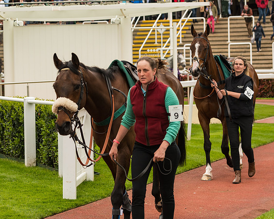 Cheltenham Hunter Chase Evening