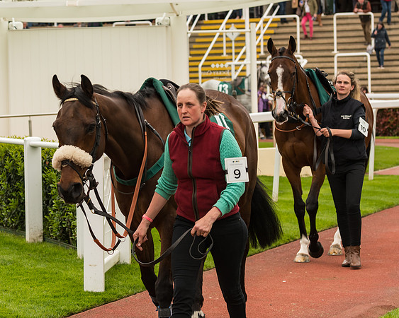 Cheltenham Hunter Chase Evening