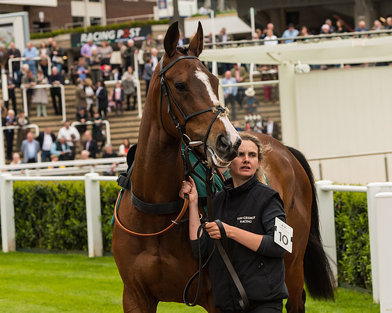 Cheltenham Hunter Chase Evening