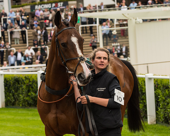 Cheltenham Hunter Chase Evening