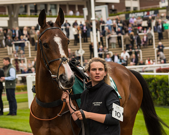 Cheltenham Hunter Chase Evening