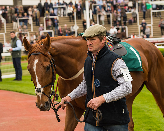 Monsieur Gibraltar - Lorcan Williams