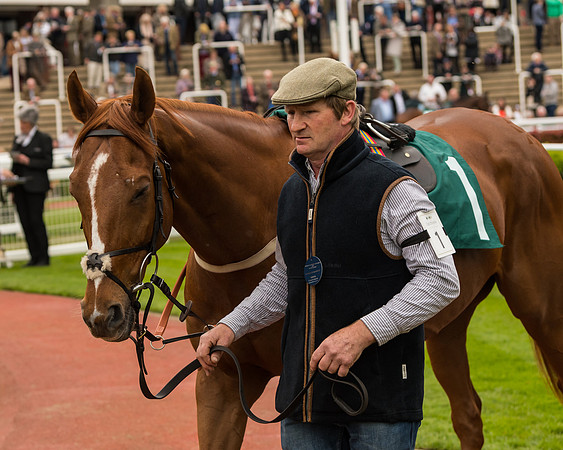 Cheltenham Hunter Chase Evening