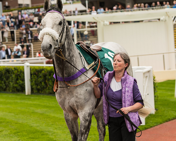 Cheltenham Hunter Chase Evening