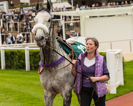 Cheltenham Hunter Chase Evening
