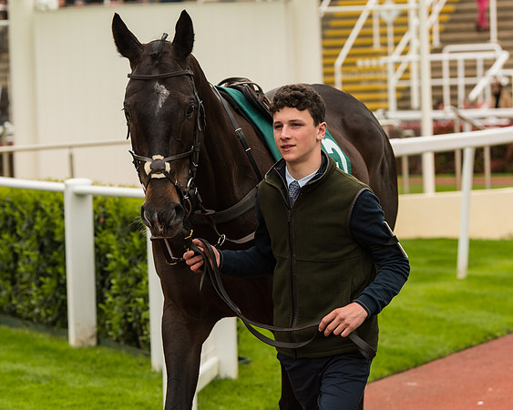 Cheltenham Hunter Chase Evening