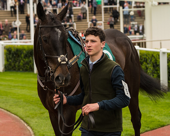Cheltenham Hunter Chase Evening