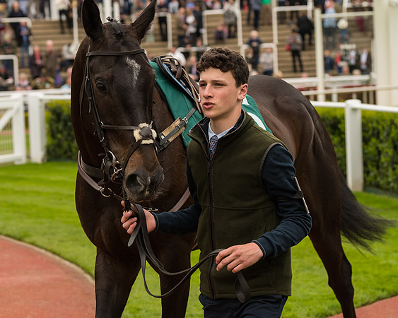 Cheltenham Hunter Chase Evening