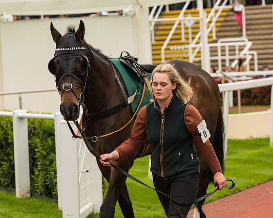 Cheltenham Hunter Chase Evening