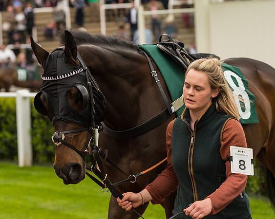 Cheltenham Hunter Chase Evening