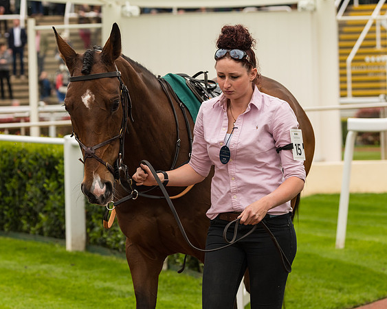 Cheltenham Hunter Chase Evening