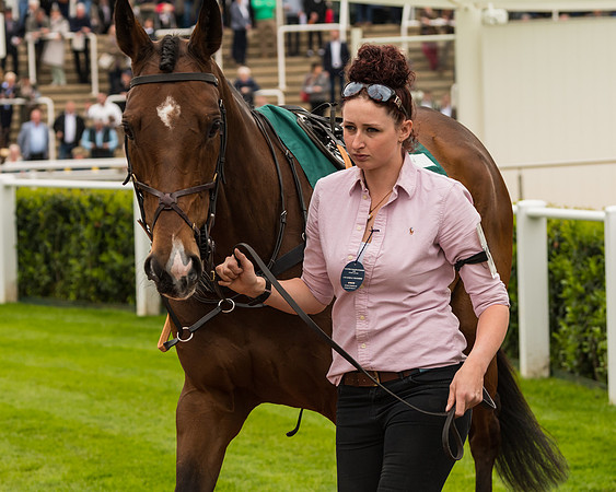 Cheltenham Hunter Chase Evening