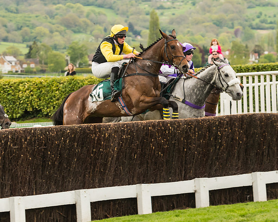 Cheltenham Hunter Chase Evening