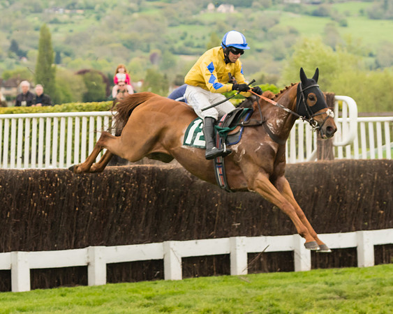 Cheltenham Hunter Chase Evening