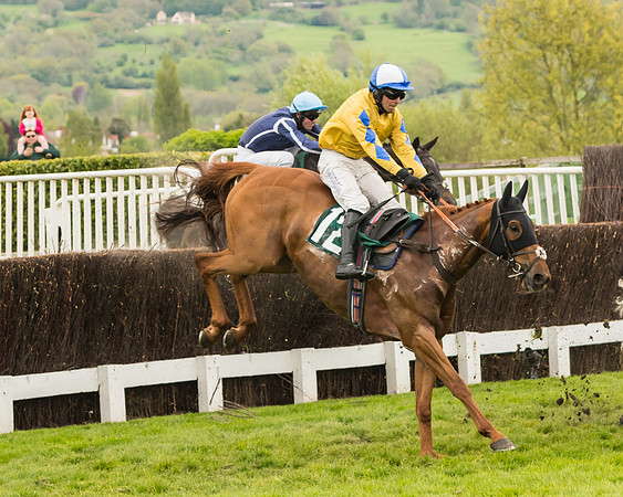 Cheltenham Hunter Chase Evening
