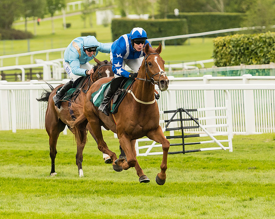 Monsieur Gibraltar - Lorcan Williams