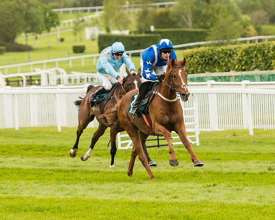 Monsieur Gibraltar - Lorcan Williams
