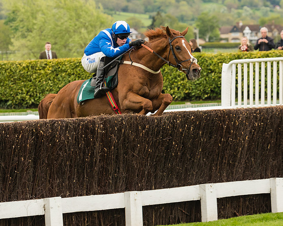 Monsieur Gibraltar - Lorcan Williams