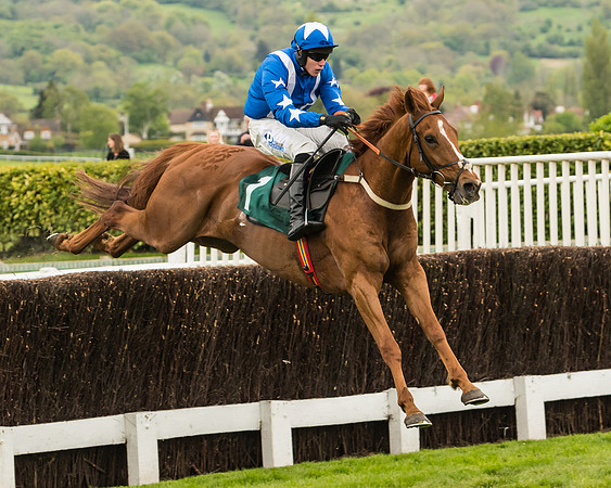 Monsieur Gibraltar - Lorcan Williams