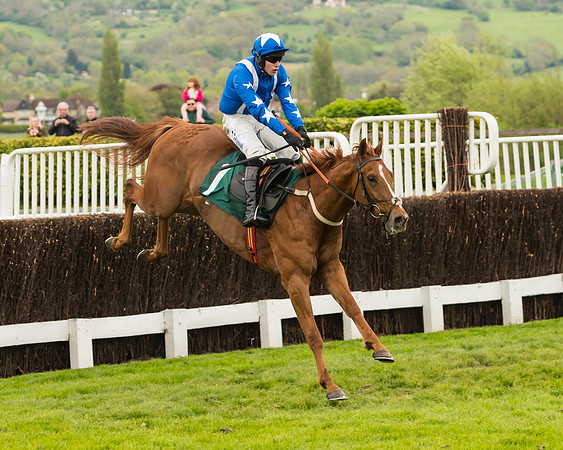 Monsieur Gibraltar - Lorcan Williams