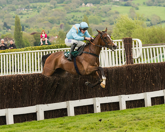 Cheltenham Hunter Chase Evening